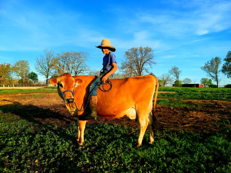 How_to_choose_your_cow