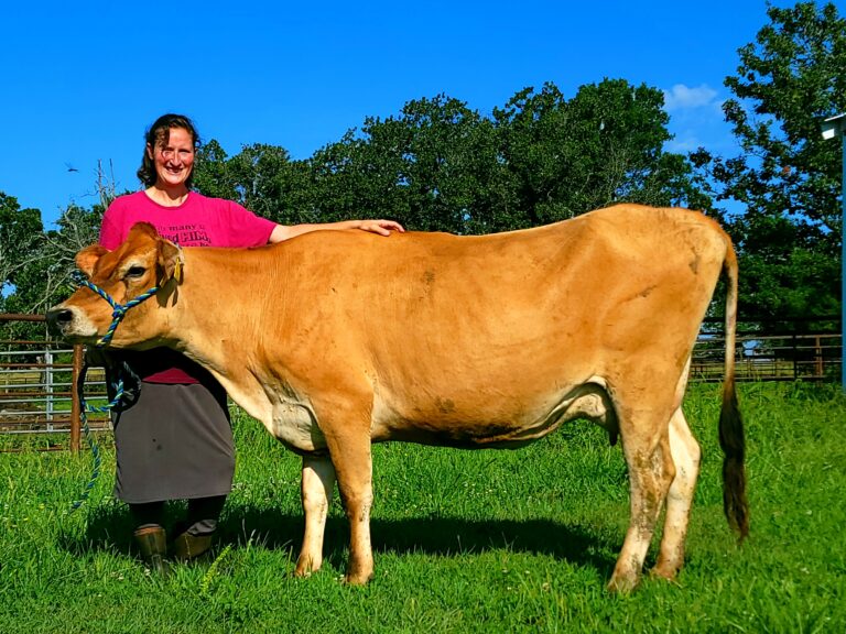 How_to_choose_your_cow
